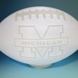 IMG_20230618_100020780.jpg Michigan Wolverines FOOTBALL LIGHT