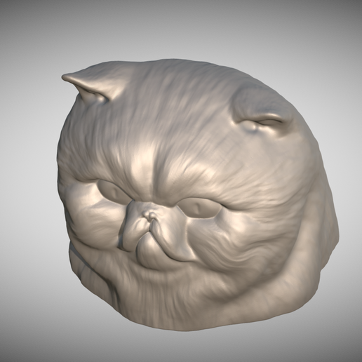 Zrzut-ekranu-2025-06-14-111349.png Persian cat head for 3D printing