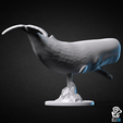 sperm_whale_back.png Кашалот - животное