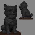 Affenpinscher-render-2.jpg Affenpinscher Dog
