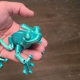 Cute Flexi Print-in-Place Frog, ChiefGeek
