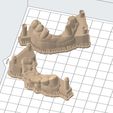 Clipboard-2024-02-25-15-21-59.jpg FLEXIBLE FLIPPER lower jaw + 3D MODELS !!!
