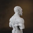 Sinestro_BustoClay_000001.jpg Busto Siniestro - STL