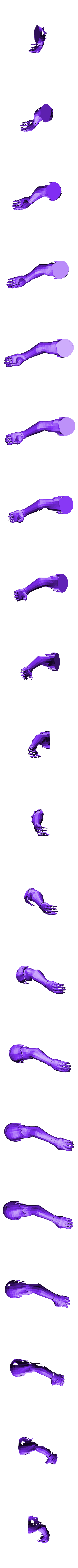 mano isqui.stl Cuervo Fortnite Raven