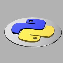 Image-24-05-2023-at-23.01.jpg 3D Python Logo Badge Wall Sign logo