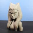 DSCN4310_fix.jpg Busto de Ahsoka Tano