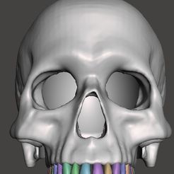 craneo-hueco-fre.jpg skull hollow skull hollow