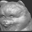 2.jpg Puppy of Pomeranian dog head for 3D printing