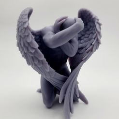20230127_152321.jpg STL file Fallen Angel・3D printing model to download