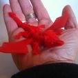 IMG_3867.JPG My little Dragon - Articulated - Without support