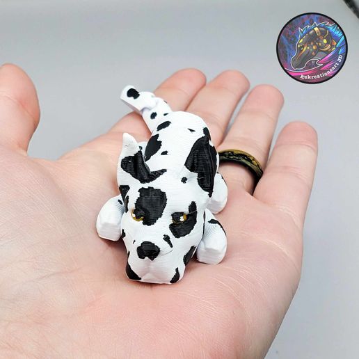 418671325_354373960935572_7262071153678199644_n.jpg Baby Flexi Dogs and Cats Set 4 (set of 10)