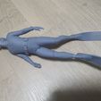 1647562941143.jpg skin scuba 3D print model