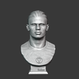 untitled8png.png Erling Haaland 3D bust for printing