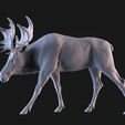 01.png Moose