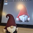 20251205_125055.jpg Christmas Deco - Multicolor - Gnome