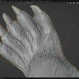 oso5.jpg Andean bear paw Scanned life-size paw of a male Andean bear