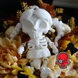 Skeleton_Girl_05_Logo.jpg Articulated Skeleton Girl 3D Print-In-Place STL Model Fidget and Desk Toy