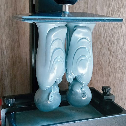 monk_c.jpg Petit moine