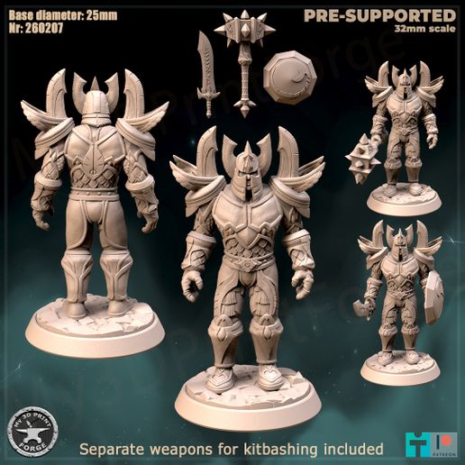 Paladin Tier1 and weapons