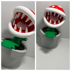 Piranha-Pflanze V1