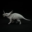 Styracosaurus_roaring_B1.jpg Styracosaurus roaring 1-35 scale pre-supported