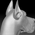 6.jpg Great Dane head for 3D printing
