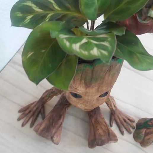 67495766_707868729673745_2312079576605392896_n.jpg Groot Vase Pack