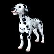 07.jpg DOG - DOWNLOAD Dalmatian 3d model - Animated for blender-fbx- Unity - Maya - Unreal- C4d - 3ds Max - CANINE PET GUARDIAN WOLF HOUSE HOME GARDEN POLICE  3D printing DOG DOG