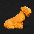 3407-Cesky_Terrier_Pose_06.jpg Cesky Terrier Dog 3D Print Model Pose 06