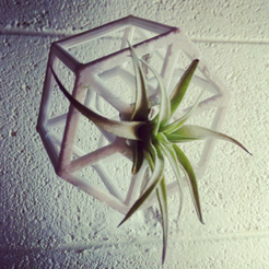 Screen_Shot_2015-05-10_at_4.32.43_PM.png STL file AIR PLANT HOLDERS・3D print design to download