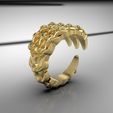 untitled.1808.jpg claw ring