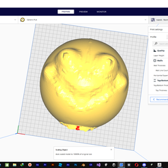 Screenshot-63.png OBJ file choo choo charles cultist's mask・3D printable model to download