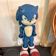 Flexi Sonic The Hedgehog - Print In Place - Sin soportes