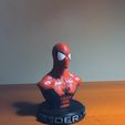 IMG_1428.JPG -Datei Spider-Man 3D Fan art herunterladen • 3D-Drucker-Vorlage, jeanforthekill