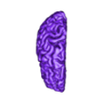 brain 6-_0.stl 3D Model of Brain - section