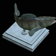 zander-open-mouth-tocenej-19.png fish zander / pikeperch / Sander lucioperca trophy statue detailed texture for 3d printing