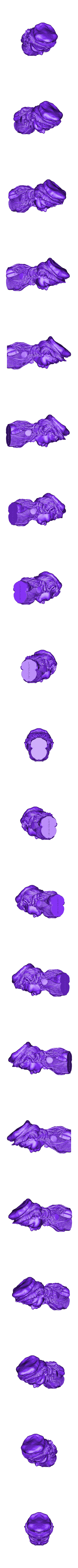 TheCheerfulPilot_Low.stl The Cheerful Pilot