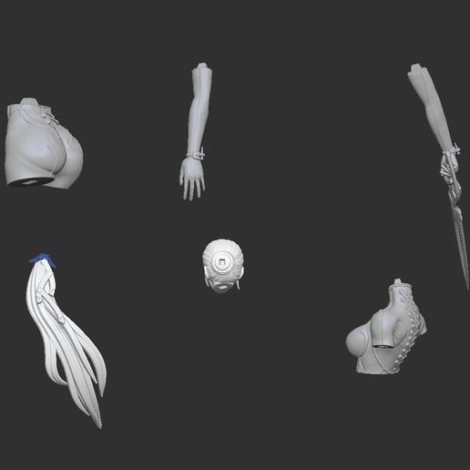 parts_2.jpg Stellare Klinge Eve