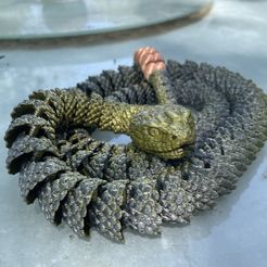 Serpent et serpent à sonnettes