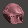 Buddha_Insense_2.jpg Buddha Head 3D Scan (Made Hollow)