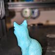Sitting Fox
