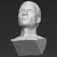 24.jpg Van Damme Kickboxer bust 3D printing ready stl obj formats
