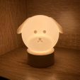 IMG_20210723_222946.jpg Soothing Puppy Lampshade