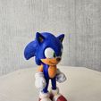 20251112_110143.jpg Sonic