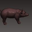 1.jpg Pig 3D print model