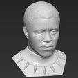 14.jpg Chad Boseman Black Panther bust 3D printing ready stl obj formats