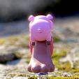thumbnail_IMG_9597.jpg Free STL file Mabel and Waddles (Gravity Falls)・3D printable model to download