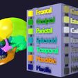 04.jpg Skull bones colored separable labelled