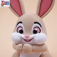 06.jpg Flexi rabbit