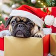 AlbedoBase_XL_pug_inside_a_Christmas_present_with_a_Christmas_1.jpg christmas pug